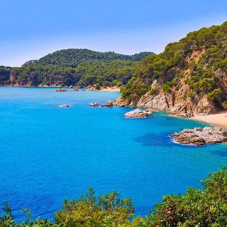Apartment Cosy Lloret By Interhome