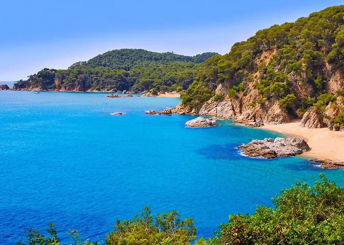 Apartamento Cosy Lloret By Interhome